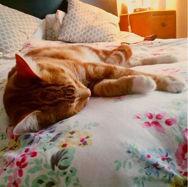 Week Four Sunday Eggy